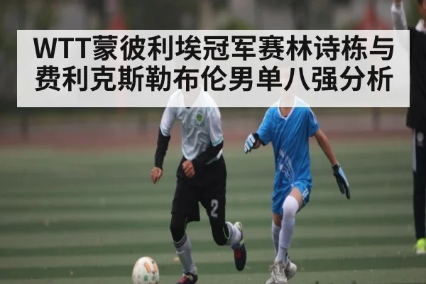 WTT蒙彼利埃冠军赛林诗栋与费利克斯勒布伦男单八强分析
